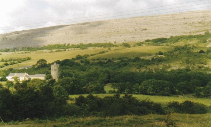 Burren View B&B Баливоган Екстериор снимка